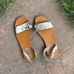 Steve Madden Snake Print Sandals
